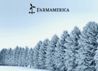 pine trees at Farmamerica